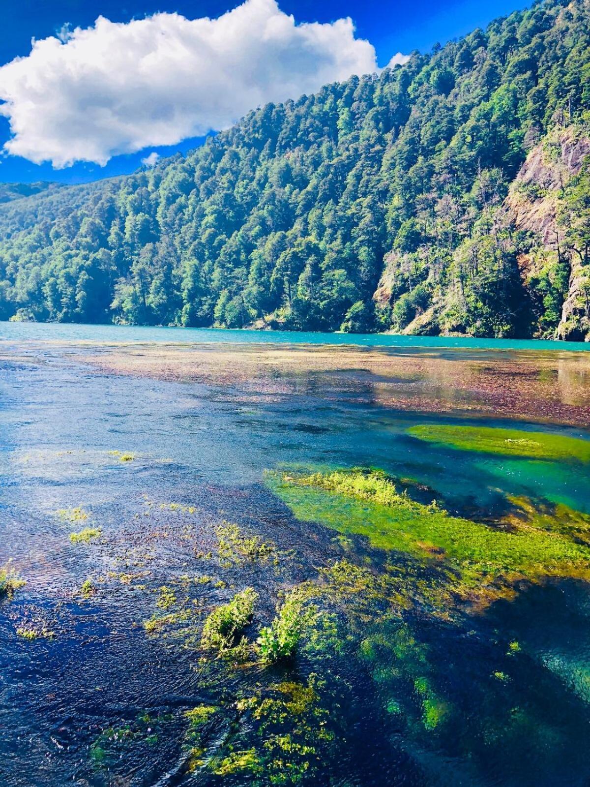 Chalé Refugio De Montana Trancura
